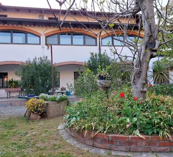 Dettagli